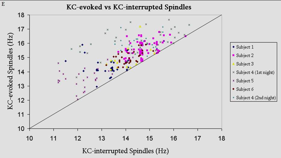 In each and every case in all 7 subjects, the spindle evoked by a K-Complex was of higher