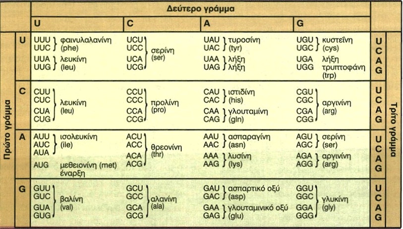 Ο