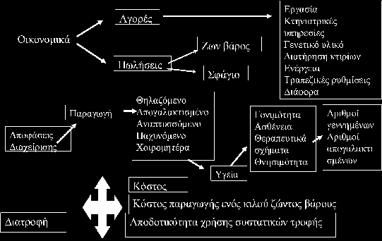 Χρήση καταγραμένων παρατηρήσεων για τον