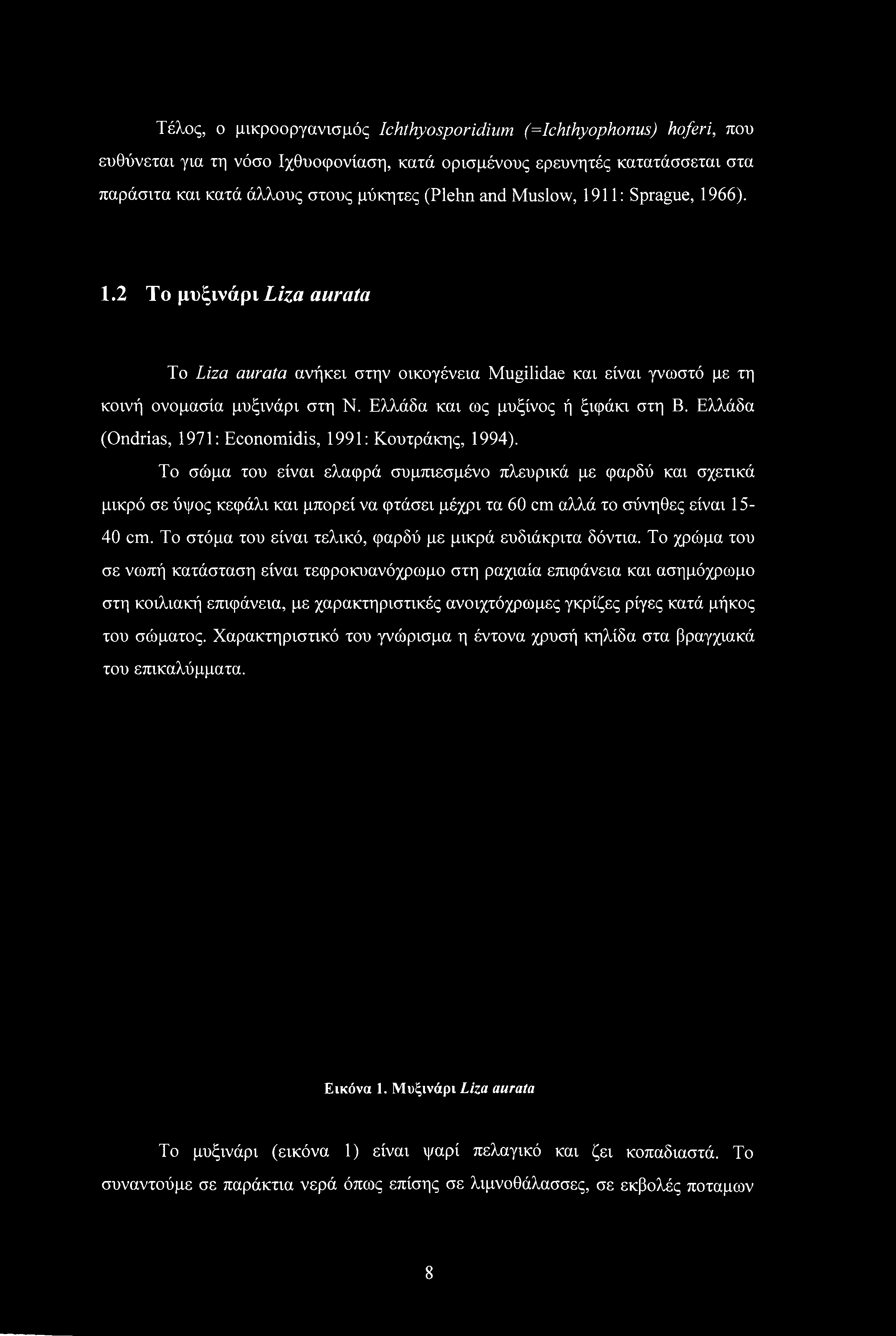 Τέλος, ο μικροοργανισμός Ichthyosporidium (=Ichthyophonus) hoferi, που ευθύνεται για τη νόσο Ιχθυοφονίαση, κατά ορισμένους ερευνητές κατατάσσεται στα παράσιτα και κατά άλλους στους μύκητες (Plehn and