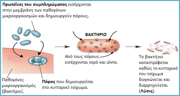 3. Πυρετός: Ο οργανισμός μας διαθέτει έναν ομοιοστατικό μηχανισμό που ρυθμίζει τη διατήρηση της θερμοκρασίας του σώματος στους 36,6 C. Με το πυρετό η θερμοκρασία ανεβαίνει.