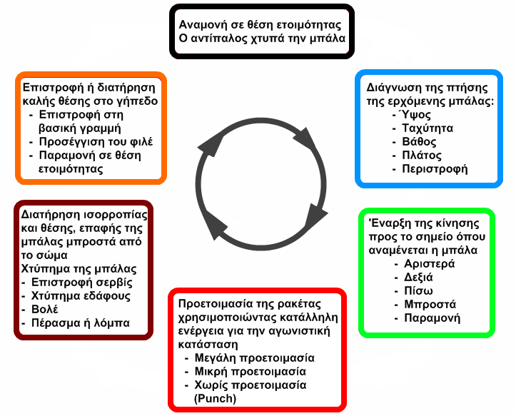 4. Η διαδικασία λήψης και ανταπόκρισης σε ένα ράλι (LTA 2004, ITF 2005α) Είναι σημαντικό να θυμόμαστε ότι οι καινούργιοι παίκτες δεν έχουν εμπειρία και ειδική αντίληψη, μετακίνηση, συγχρονισμό και