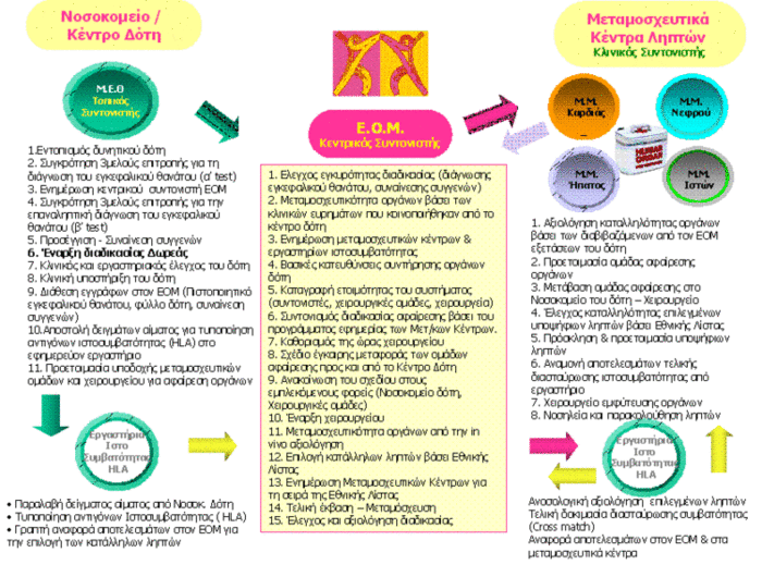 www.eom.gr 4.15. Διαδικασία Δωρεάς - Ο ρόλος του ΕΟΜ Εικόνα 3. Ρόλος του ΕΟΜ Η επιτυχία μιας μεταμόσχευσης, εξαρτάται από ποικίλους παράγοντες που αφορούν είτε το δότη είτε το λήπτη ενός οργάνου.