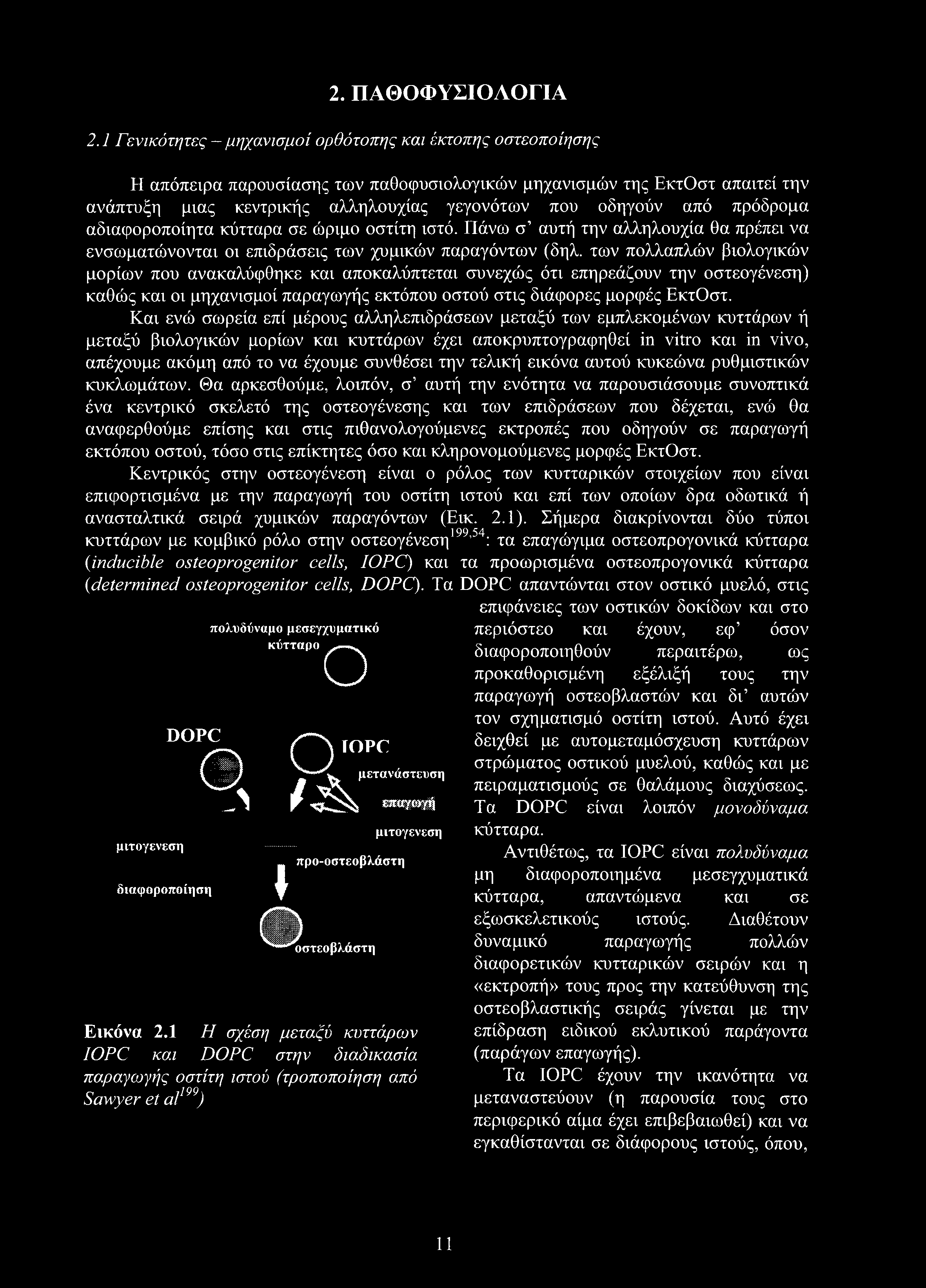 2. ΠΑΘΟΦΥΣΙΟΑΟΓΙΑ 2.