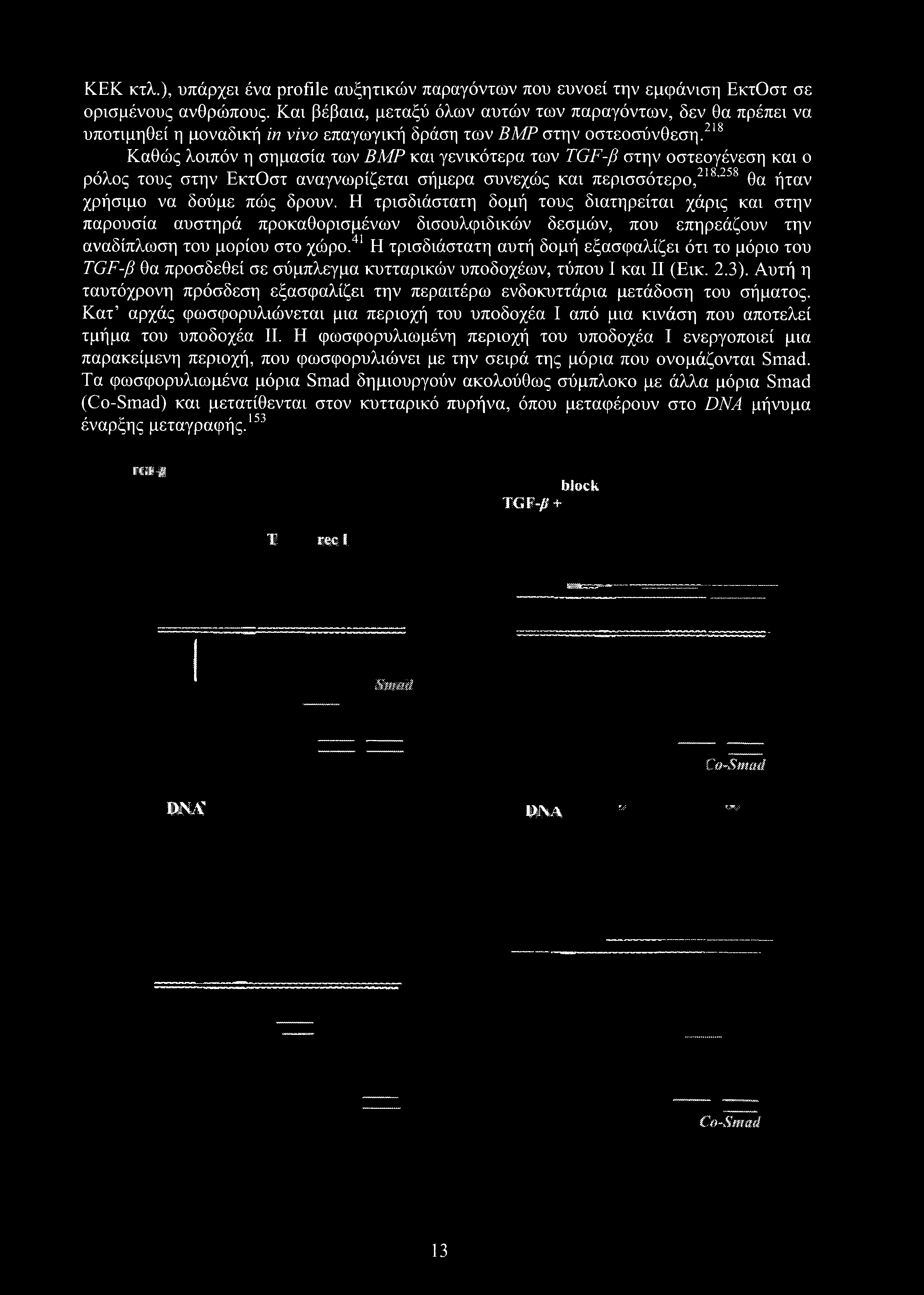 ΚΕΚ κτλ.), υπάρχει ένα profile αυξητικών παραγόντων που ευνοεί την εμφάνιση ΕκτΟστ σε ορισμένους ανθρώπους.