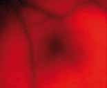 Η επιστήμη πίσω από το Breastlight Το Breastlight έχει σχεδιαστεί με σκοπό να πετύχει τη μεγιστοποίηση της μετάδοσης του φωτός μέσα από τον ιστό του μαστού.