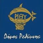 ΔΗΜΟΣ ΡΕΘΥΜΝΗΣ ΧΑΡΑΞΗ ΣΥΝΔΥΑΣΜΕΝΗΣ ΠΟΛΕΟΔΟΜΙΚΗΣ ΚΑΙ ΚΥΚΛΟΦΟΡΙΑΚΗΣ ΣΤΡΑΤΗΓΙΚΗΣ ΓΙΑ ΤΗ ΒΙΩΣΙΜΗ