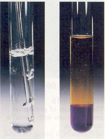 Οξειδωτική ισχύς των αλογόνων Cl 2 (g) I 2 (s) 2Na(s) + Cl 2 (g) 2NaCl(s) Ένα δραστικό μέταλλο (μικρή Ι 1 ) και ένα δραστικό αμέταλλο (μεγάλη ΗΣ 1 ) αντιδρούν έντονα παράγοντας το