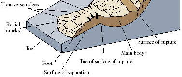 Περιστροφικές ολισθήσεις (rotational slides ή slumps) Πραγματοποιούνται κατά μήκος κοίλων προς τα πάνω επιφανειών με μικρή παραμόρφωση στο σώμα της μετακινούμενης μάζας.