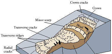 Εγκάρσιες ρωγμές (Transverse cracks). Ρωγματώσεις εγκάρσια στην κύρια διεύθυνση της κίνησης, μεταξύ κύριου σώματος και ποδός. Ακτινωτές ρωγμές (Radial cracks).