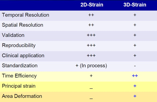 2D vs 3D STRAIN