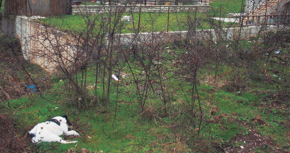 ΚΕΦΑΛΑΙΟ 2 Πίνακας 1 Κύρια χαρακτηριστικά των πιλοτικών περιοχών, σύμφωνα με τη «μελέτη εκτίμησης των προϋπαρχόντων συνθηκών στις πιλοτικές περιοχές».