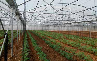 Ιn greenhouses, there is often the need of lowering the temperature, especially during the hot months of the year, in order to avoid plant stress.