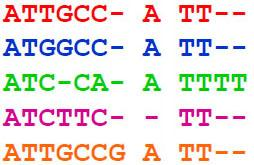 Στοίχιση Άστρου ATTGCC-ATT ATGGCC-ATT