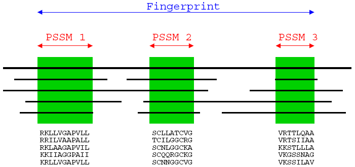 Position Specifc Scoring Matrix (PSSM) fingerprints συνδυασμός δύο ή περισσότερων PSSMs για την