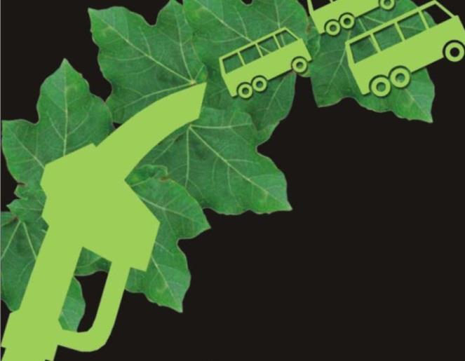 την διεξαγωγή σεμιναρίων eco driving, των οποίων τα έξοδα θα χρεώνεται ο ίδιος ο δήμος. Τα αποτελέσματα συνοψίζονται στον παρακάτω πίνακα. Πίνακας 5.