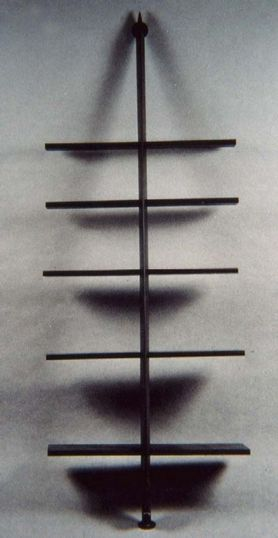 Martin Szekely, Neotu,