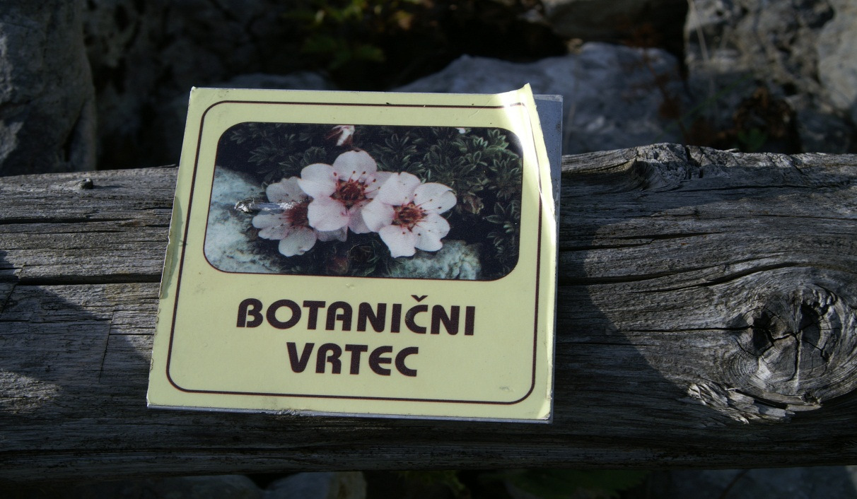 Društvo Jarina Bohinj Srednja vas 79 4267 Srednja vas v