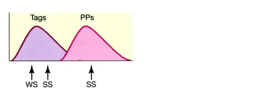 Υπόθεση Συναπτικής Σήμανσης (Frey & Morris, 1997, 1998) Ερεθισμός που προκαλεί L-LTP, προκαλεί 2 διεργασίες: 1. Εντός της άκανθας δημιουργείται μία σήμανση. 2. Έναν γενομικό καταρράκτη παραγωγής νέου mrna, πρωτεϊνών (προϊόντα πλαστικότητας).