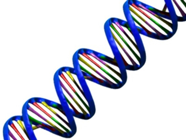 Πρόλογος Παρόλο που το DNA εντοπίστηκε στον πυρήνα των κυττάρων στα μέσα του 19ου αιώνα, δεν ήταν γνωστό ότι αποτελεί το γενετικό υλικό των οργανισμών μέχρι που επιβεβαιώθηκε από πολλά πειράματα.