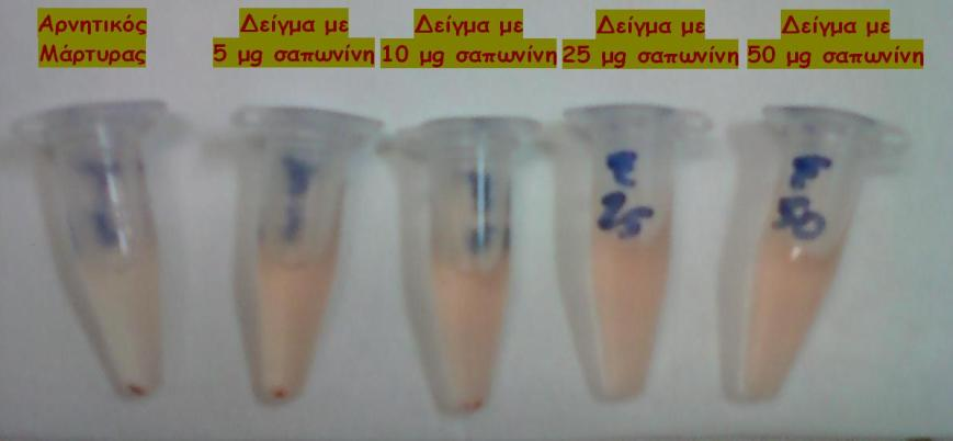Απελεςθέπωζη αιμοζθαιπίνηρ Α(540 nm) Δηθόλα 21: ωιελάθηα αηωξήκαηνο εξπζξώλ αηκνζθαηξίωλ πνπ επωάζηεθαλ γηα 2 ώξεο γηα αλίρλεπζε αηκνιπηηθήο δξάζεο ηεο ζαπωλίλεο ηδκ εζηυκα 20 πανμοζζάγμκηαζ ηα