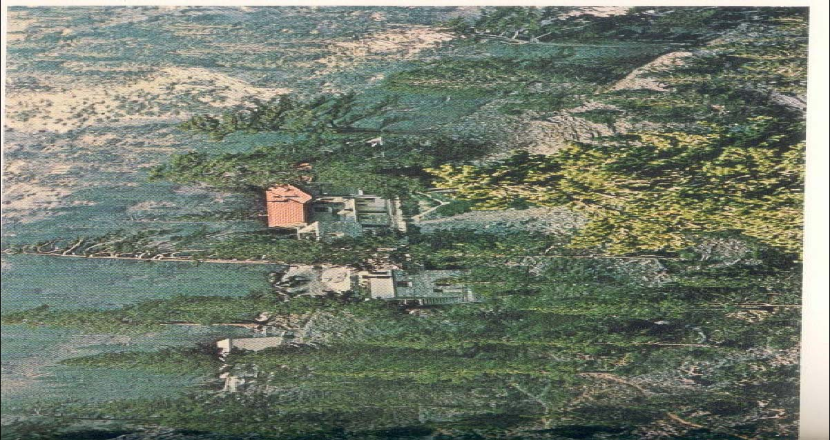 Βιοποικιλότητα Όλυμπος (Καταφύγιο 2100 m) Pinus heldreichii Ο κόσμος είναι ένα αλληλοεξαρτώμενο σύνολο, δημιουργημένο από φυσικές & ανθρώπινες κοινότητες.