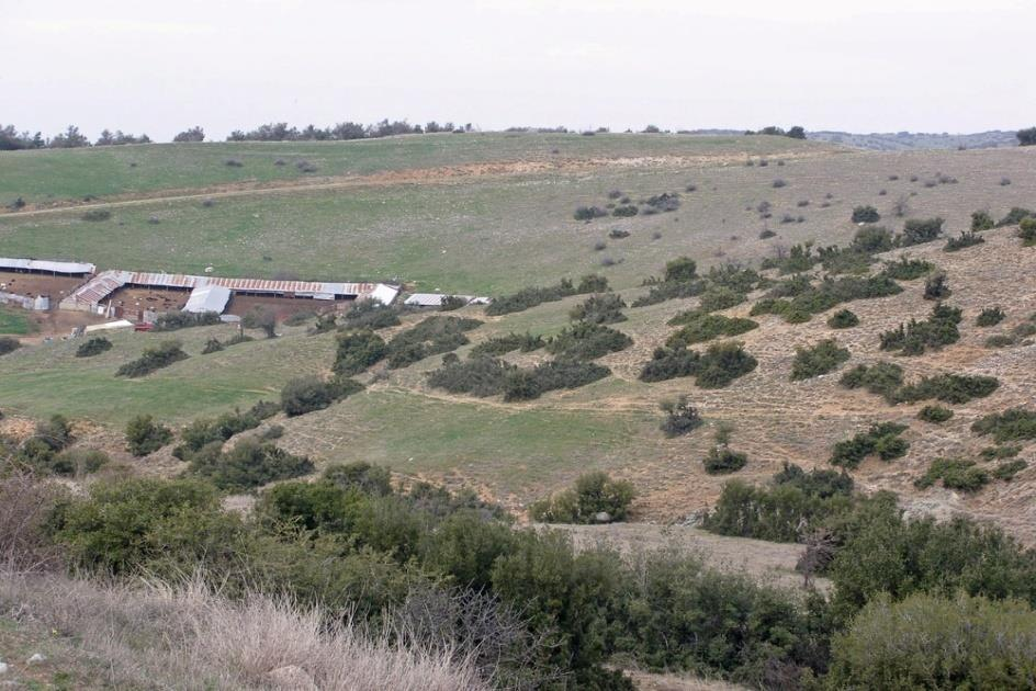 ΡΟΛΟΣ ΤΗΣ ΚΤΗΝΟΤΡΟΦΙΑΣ Πότε καταστρέφει η κτηνοτροφία;