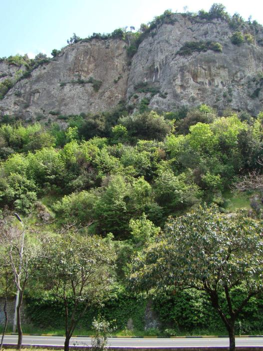 ΜΕΛΕΤΗ ΕΚΤΙΜΗΣΗΣ ΦΥΣΙΚΗΣ Σ Περιοχή