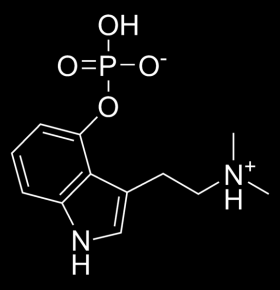 νοραδρεναλίνη=norepinephrine σεροτονίνη ντοπαμίνη Η φαρμακολογική δράση των αλκαλοειδών