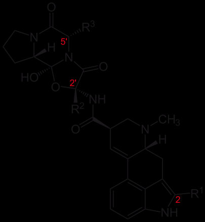 Name R 1 R 2 R 3 Ergotamine CH3 benzyl Ergocristine CH(CH3)2 benzyl Βρωμοκρυπτίνη Ergocornine CH(CH3)2 CH(CH3)2 Ergocryptine CH(CH3)2 CH2CH(CH3)2 Bromocriptine Br CH(CH3)2 CH2CH(CH3)2 Ergovaline CH3