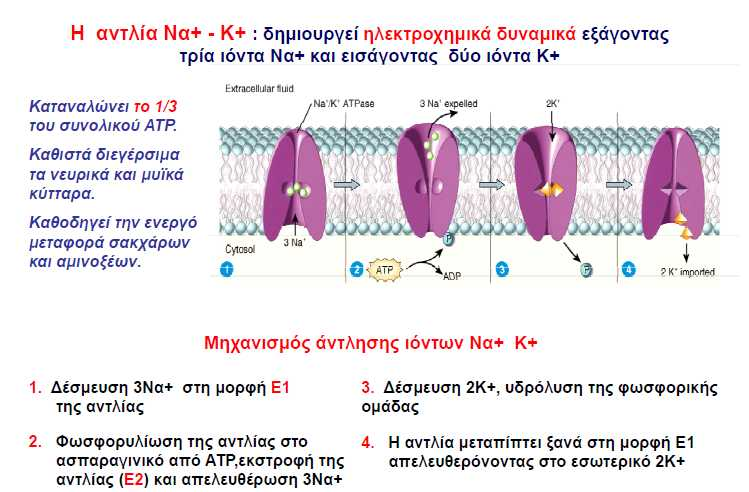 ΑΝΤΛΙΕΣ