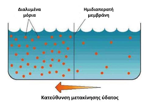 Μετακίνηση ύδατος - ώσμωση Η ωσμωτικότητα που καθορίζει τη συγκέντρωση των ωσμωλίων των σωματικών υγρών, καθορίζει και τη συγκέντρωση του Η 2 Ο (ένα διάλυμα με υψηλή ωσμωτικότητα έχει χαμηλή