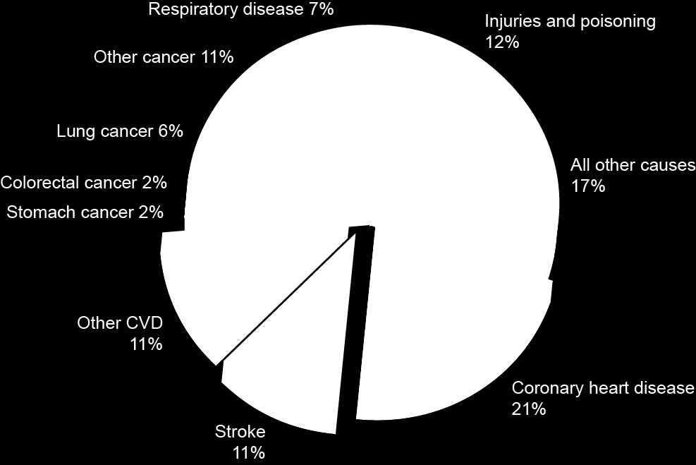 Η CVD είναι το κύριο αίτιο θανάτου στην Ευρώπη 1 και παγκοσμίως 2 Στατιστικά στοιχεία για τη CVD το 2008 στην Ευρώπη 1 : θάνατοι ανά αιτία (άνδρες) Αναπνευστική νόσος 7% Άλλος καρκίνος 11% Κακώσεις