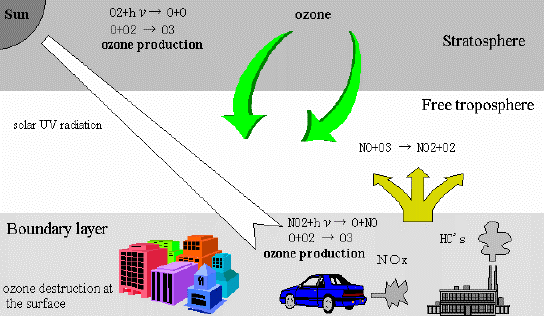 0. Εισαγωγή Το όζον είναι ένα σηµαντικό συστατικό της ατµόσφαιρας παρά το γεγονός ότι η συγκέντρωση του είναι µικρή.