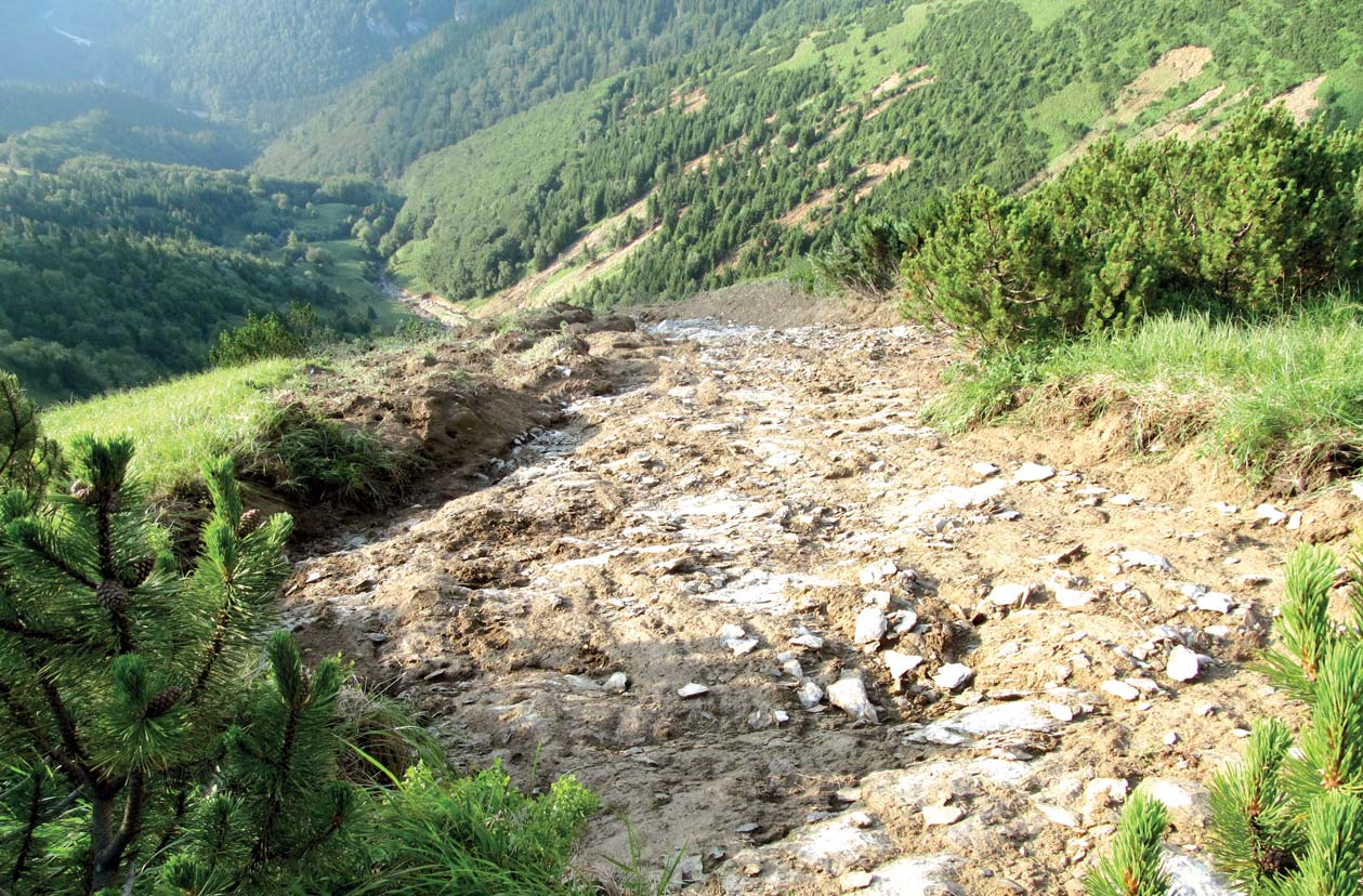 ENVIROTÉMA Katastrofické murové prúdy v Malej Fatre pod Hromovým (1 630 m) spôsobené extrémnymi zrážkami 21. 7. 2014.