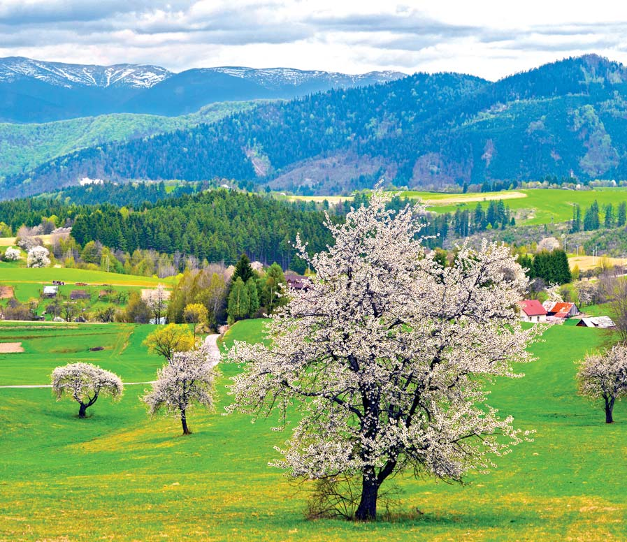 ENVIROSLOVENSKO Správa o stave životného V zmysle Ústavy SR a v súlade so zákonom č. 17/1992 Zb.