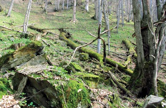 ENVIROSLOVENSKO Slovenský raj sa zmenší, no bude lepšie chránený Slovenský raj bude historicky prvým národným parkom na Slovensku, ktorý dostane zonáciu podľa nových pravidiel. Od 1.