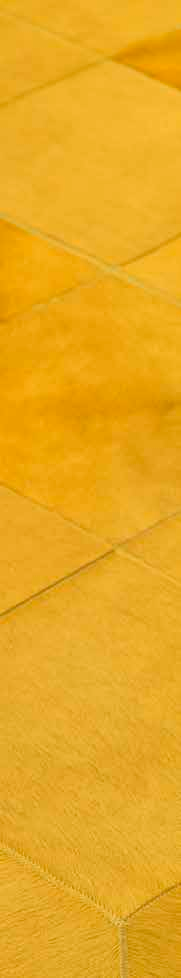 Skn Rug (10x10) Yellow Skn Rug (20x20) Yellow Skn Rug (20x20) Orange Skn Rug (10x10) Orange Skn Rug (Strpes) Yellow