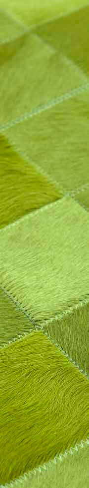 Skn Rug (10x10) Green Skn Rug (20x20) Green Skn Rug (20x20) Volet Skn Rug (10x10) Volet Skn Rug (Strpes) Green Skn