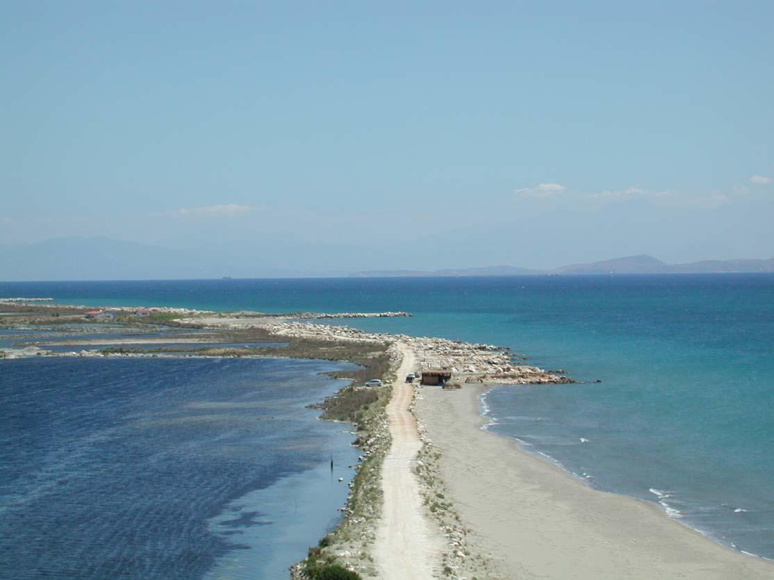 Αμμολοςπίδα μεηαξύ