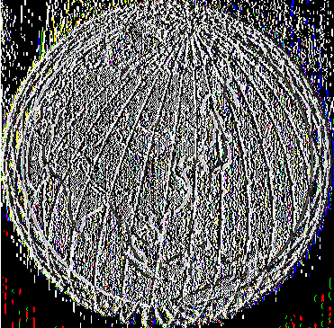 επίγειο δίκτυο. Το δίκτυο ΊΤιυ^γ^ έχει την ικανότητα για 13.750 ταυτόχρονα μεγαφωνικά κυκλώματα (πανταζάτου, 2009). Εικόνα 2:17. Δίκτυο Τίτιιταγα. Πηγή: Πανταζάτου, 2009 2.