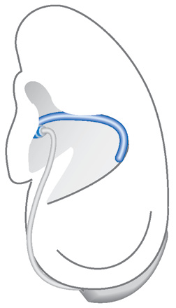 Συνιστάται η εισαγωγή του δεξιού ακουστικού με το δεξί χέρι και του αριστερού ακουστικού με το αριστερό χέρι.