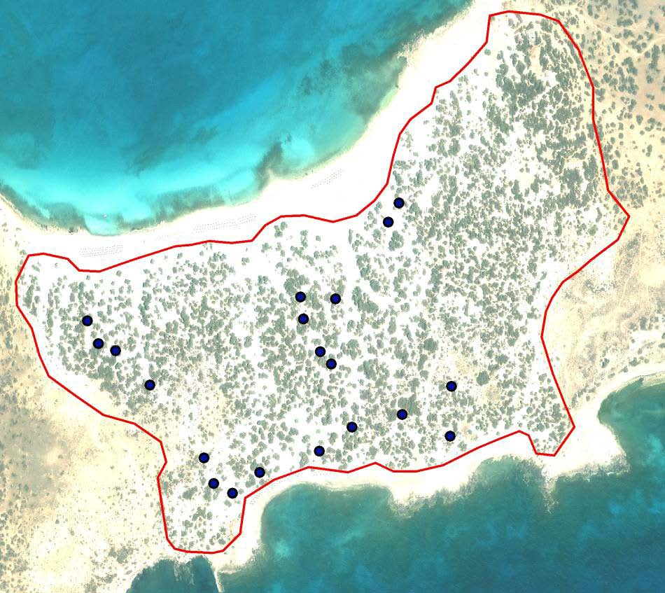 4. ΔΡΑΣΕΙΣ ΓΙΑ ΤΗΝ ΑΝΑΓΕΝΝΗΣΗ ΤΟΥ ΚΕΔΡΟΥ ΑΝΑ ΠΕΡΙΟΧΗ ΜΕΧΡΙ 30.06.