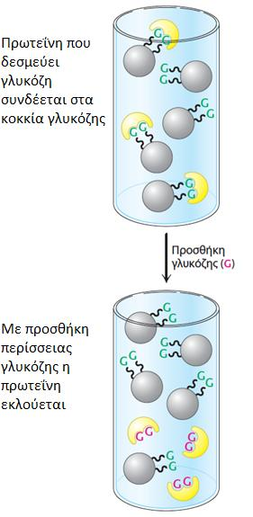 Διαχωρισμός βάσει επιλεκτικής συγγένειας για χημική ομάδα: Χρωματογραφία συγγένειας Τα κοκκία της στήλης είναι ομοιοπολικά συνδεδεμένα με ομάδα που δεσμεύει με υψηλή συγγένεια η υπό απομόνωση