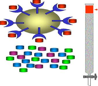 Κοινά είδη χρωματογραφίας Είδος Διήθησης σε πηκτή Βάση διαχωρισμού Μέγεθος Ανταλλαγής