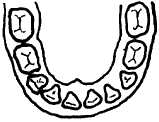ΟΝΤΙΑ ΟΝΟΜΑΣΙΑ ΠΕΡΙΓΡΑΦΗ ΧΡΗΣΙΜΟΤΗΤΑ Τα πρώτα δόντια που έχει ένα παιδί ονομάζονται νεογιλά. Περίπου στην ηλικία των έξι χρόνων τα νεογιλά δόντια αρχίζουν να πέφτουν.