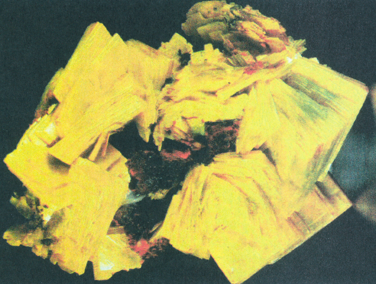 Εικόνα 4-27. Κίτρινοι κρύσταλλοι σύνθετου άλατος του ουρανίου. (Ένυδρο φωσφορικό ασβέστιο - ουράνιο).