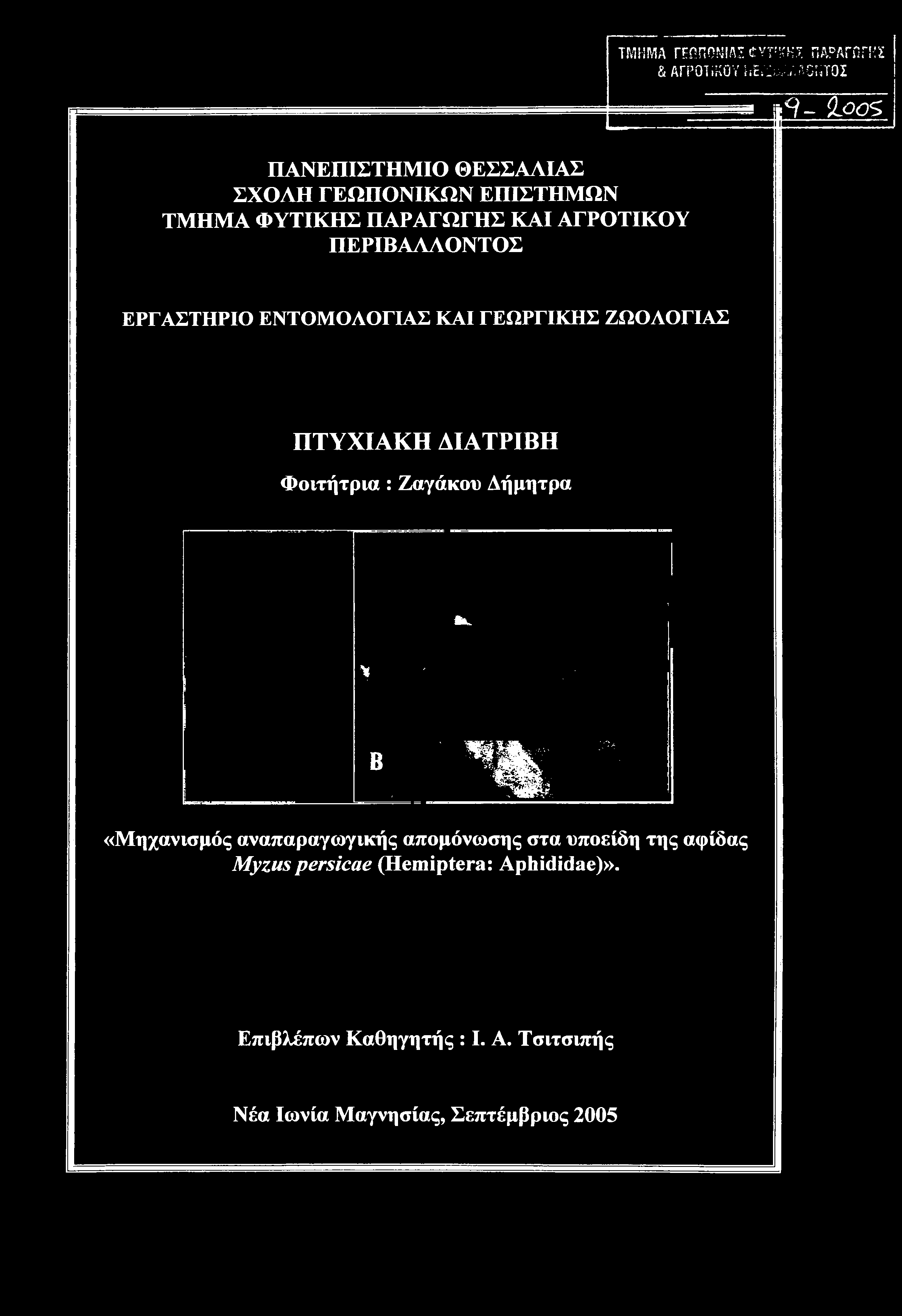 ΤΜΗΜΑ ΓΕΩΠΟΝΙΑΣ ί-υτ'κκί ΠΑΡΑΓΠΓΗΣ & ΑΓΡΟΤΐΚΟΥ πε& ;.