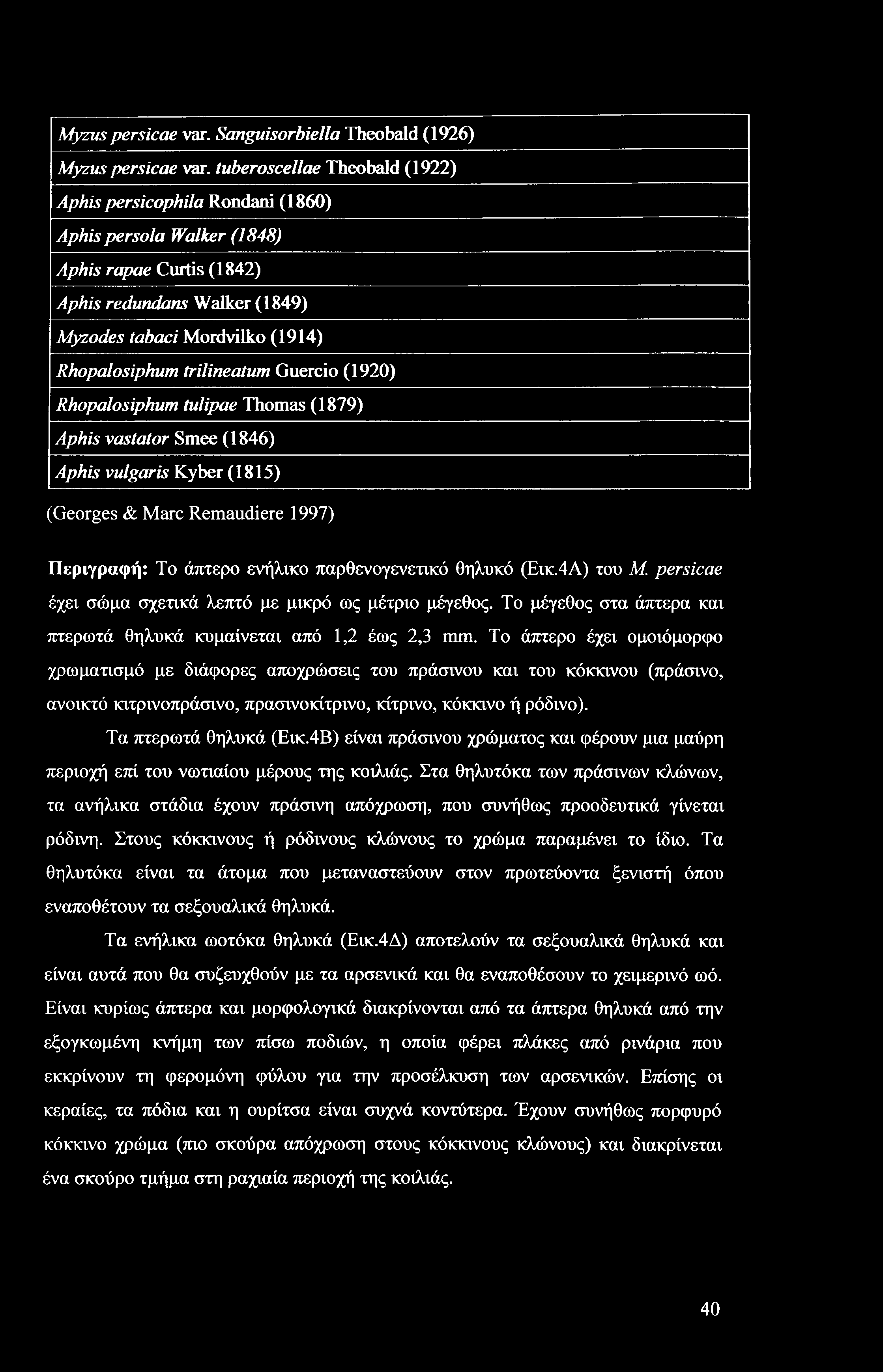 Myzus persicae var. Sanguisorbiella Theobald (1926) Myzus persicae var.