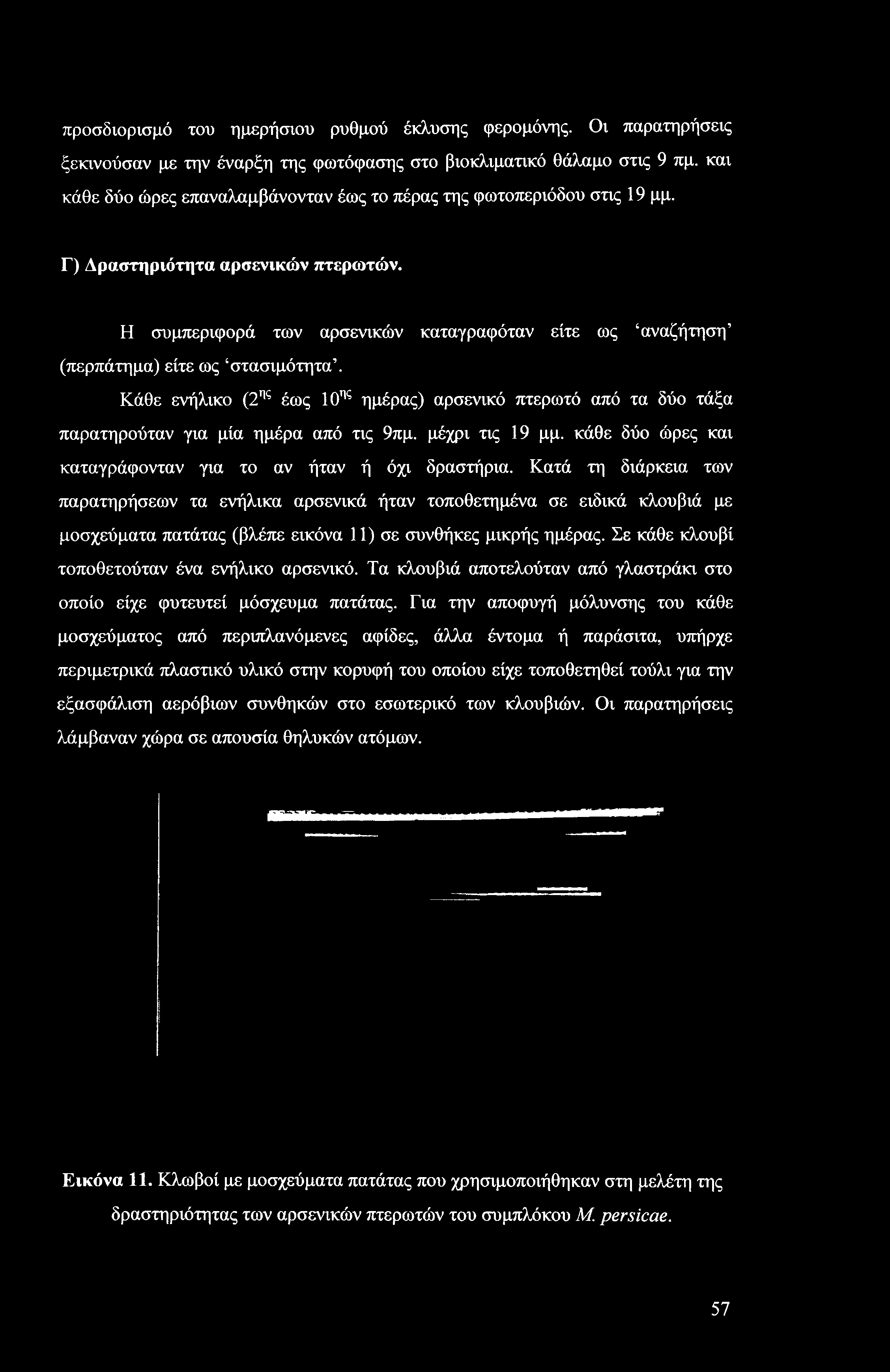 προσδιορισμό του ημερήσιου ρυθμού έκλυσης φερομόνης. Οι παρατηρήσεις ξεκινούσαν με την έναρξη της φωτόφασης στο βιοκλιματικό θάλαμο στις 9 πμ.